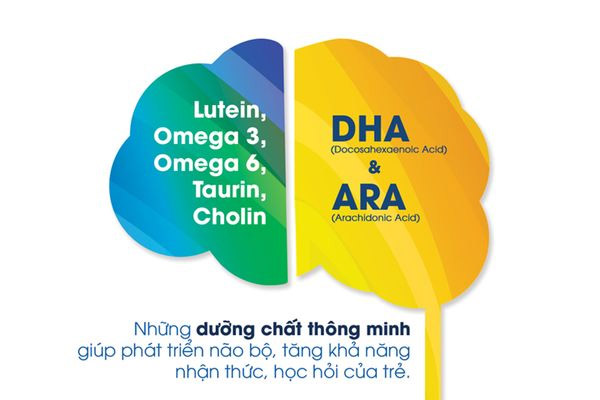 Các dưỡng chất giúp trẻ phát triển trí não tốt nhất