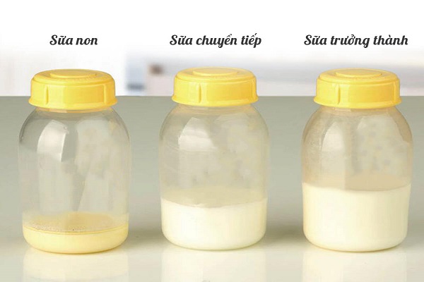 Sữa non Colostrum